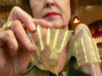 condon_con_dientes_(5)